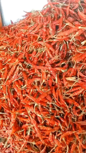 Cabe Rawit Kering Teja/Japlak Tanpa Tangkai kemasan 5 Kg