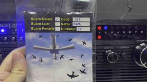 DL3 - INDUK Swiftlet Internal Sound 燕屋内声 (including USB)