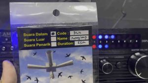 DL4 - MENGINAP Swiftlet Internal Sound 燕屋内声 (including USB)