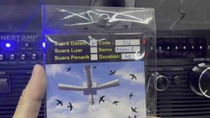 DL6 - KOLONI E Swiftlet Internal Sound 燕屋内声 (including USB)