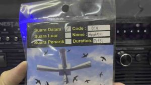 DL9 - AUDAX Swiftlet Internal Sound 燕屋内声 (including USB)