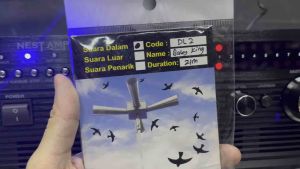 DL2 - Baby King 燕屋内声 /Swiftlet Internal Sound/ Suara Dalam Rumah Burung Walet (boleh copy)