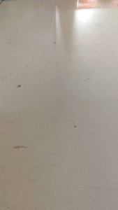 Pisau Menoreh Getah/Rubber Tapping Knife/Bidor Pisau getah