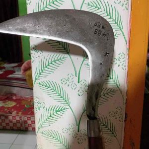 Sabat Baja Berkualitas & Arit Padi Super Tajam