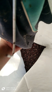 ข้าวเหนียวดำสีใหม่มาแล้วจ้า🌾🌾จัดโปรโมชั่นพิเศษท้าลมหนาวช่วงนี้1กล่อง10แพ็ค/10กก.ในราคาสบายกระเป๋าจ้า