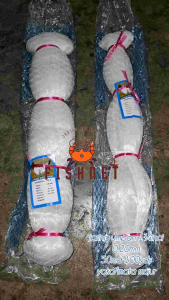 jaring umpan 1¼inci 0.20mm 50md 100yds (tate sama yoko)