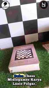 Chess Middle Games
