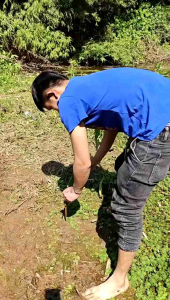 Perangkap jebakan burung otomatis outdoor dengan desain simpel dan logo burung khas yang menarik