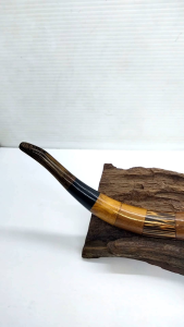 express galeri klokotan once pipa kayu kelor jawa model terompet