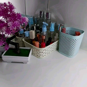Tempat parfum botol 50ml 30ml 20ml 10ml Kotak Lipstik lip gloss 10 slot