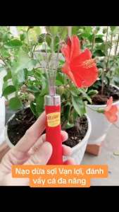 Nạo dừa sợi Vạn Lợi - Nạo dừa  nạo sợi đánh vẩy cá đa năng tiện lợi - gia dụng Nari