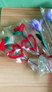 10 Pieces Flowers Valentines Day Barkada Gift Set