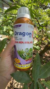DRAGON VUA RỆP SÂU RẦY BỌ TRĨ CHAI 450ml