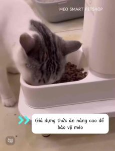 Giá đỡ thức ăn chống kiến chống gù cho mèo gỗ cao cấp