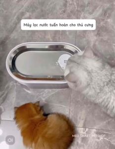 Máy lọc nước PAPIFEED CHÍNH HÃNG HẠN CHẾ SỎI THẬN CHO THÚ CƯNG