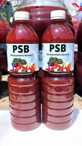 PSB Super Bakteri Fotosintesis Asli Murni 1 Liter