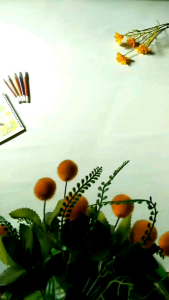 TokoDemesJogja Seragam Sekoah Bayi Set Bandana Cantik Lucu Unik Polos Katun Toyobo Dress Bayi Perempuan usia 0 6 bulan Terkini Terbaru Terlaris Gratis Ongkir Cashback