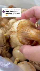 kerepek ngaku arrowhead chips 300g MUSLIM PRODUCTS Ngaku Arrowhead Price In Bangladesh - Lazada