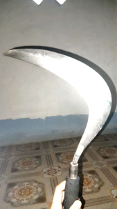 ARIT SABIT RUMPUT- COD BAYAR DITEMPAT