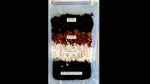 Media Tanam Poros Siap Pakai Untuk Segala Jenis Tanaman