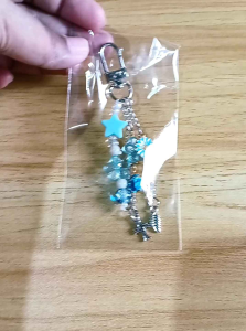 Lucky keychain and charms bracelet