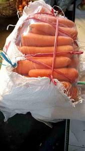 brastagi murah 1kg