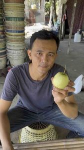 ฝรั่งไส้แดงหงเป่าสือ(ผลสด) 3 กิโล มีลักษณะเนื้อกรอบ รสชาติหวานตัดเปรี้ยวนิดๆ เมล็ดน้อย อร่อยมาก