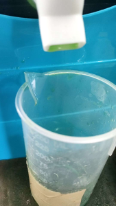 Foliar hijau treepalant rancak pertumbuhan tanaman