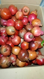 Buah Delima Merah Segar Manis Biji Lunak Ukuran Kecil per 1kg