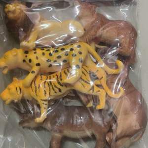 6ตัว โมเดลสัตว์ สัตว์จำลอง สัตว์พลาสติก สัตว์โมเดล สัตว์ปลอม ของเล่นเด็ก ของเล่นสำหรับการเรียนรู้เรื่องสัตว์ โมเดล ของเล่น ของเล่น สัตว์ของเล่น สัตว์ของเล่นเด็ก สัตว์ป่า สัตว์ในสวน