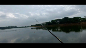 Soft Frog 21 Lure 4 Cm Single Blade Umpan Casting Gabus