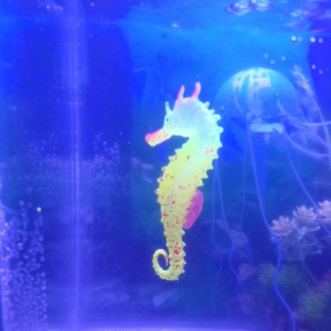 Hiasan Aquarium kuda laut dekorasi aquarium