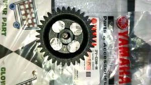 GIGI POMPA OLI MX KING (2VP)