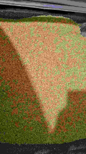 OH CHEE SENG Blended Sesame Oil 香麻油 2L (Halal)