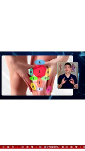ZHI WU Asli Original Obat Asam Urat Rematik Nyeri Sendi Herbal Original BPOM Efektif Mengatasi Masalah Nyeri Sendi