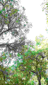 ARRAFI Hijab Instan AR 898 Stella Premium Polos Pet Antem Variasi Rempel √ Armyna Hijab ||