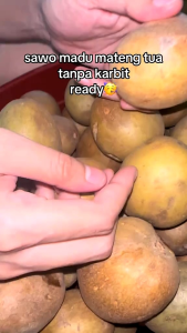 SAWO MADU PREMIUM SUPER MANIS LEGIT DAGING TEBAL DAN LEMBUT