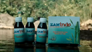 HERBAL ZAMINDO AIR RUAS BAMBU MURNI UNTUK KESEHATAN ALAMI ORIGINAL