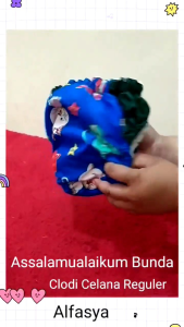 Popok Cuci Ulang tipe celana Clodi termurah Popok bayi Popok Anak Clodi Termurah