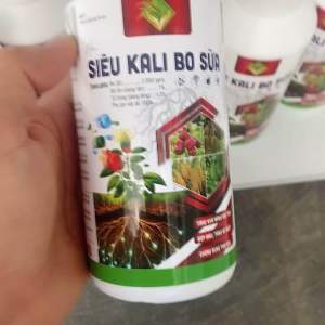 phân bón SIÊU KALI BO SỮA chống rụng trái non tăng khả năng đậu trái sáng đẹp màu