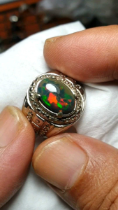 black opal biang kontras outdoor 100% natural