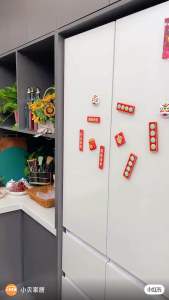 冰箱侧门分隔Refrigerator Storage Partition Board