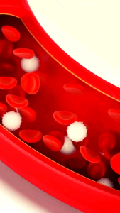 อาหารพูดวัตถุปูพุงยุบ โคซานอลมัลติ แบบโอเมก้า3 ด้วยน้ำมันเมล็ดแฟลกซ์ น้ำมันงา และวิตามินอี สมอง หลอด ใช้หัวใจ อย่าง เป็นอาหารที่สวยงาม