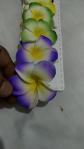 Set 12 Pcs Jepit Bebek Hitam Bentuk Bunga Kamboja Warna Warni untuk Penggunaan Anda Clips