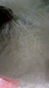 Serat Jaring Nilon Nelayan Media Filter Kolam 1 kg