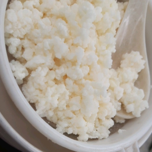 nấm sữa chua kefir ( 10gr nấm)