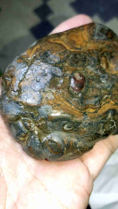 Batu posil patung kepiting purba natural temuan