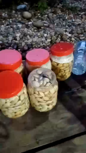 สะตอดอง สะตอภาคใต้ หอมอร่อย เปรี้ยวกำลังดี สะตอแก่ ของใหม่