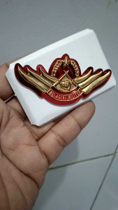 Bahan Dasar BDM & Brevet Wing Pin Mika