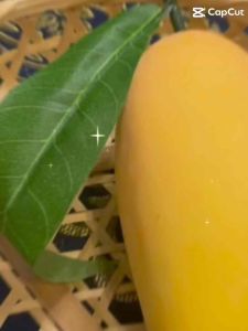 #ผลไม้ปลอมยาว 15 ซม. ยาวถึงขั้ว 25 ซม. - มะม่วงสุกจำลอง (เล็ก)